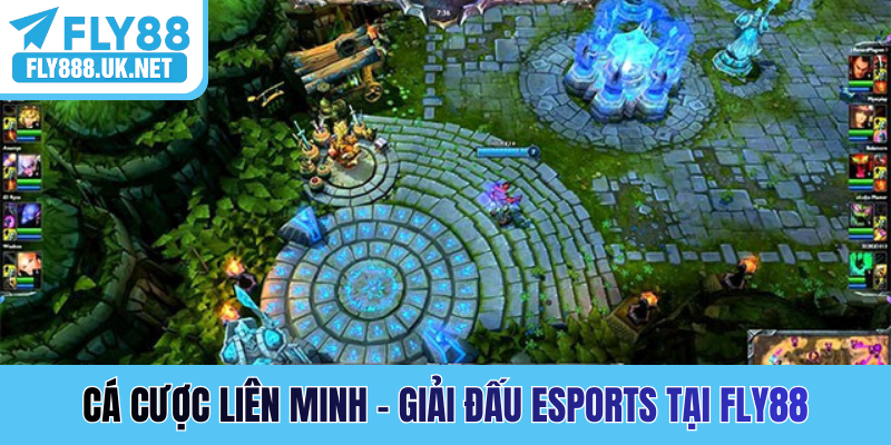 Cá cược Liên Minh