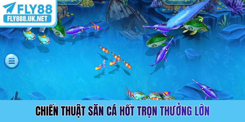 Chiến thuật săn cá hốt trọn thưởng lớn