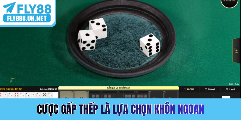 Cược gấp thếp là lựa chọn khôn ngoan
