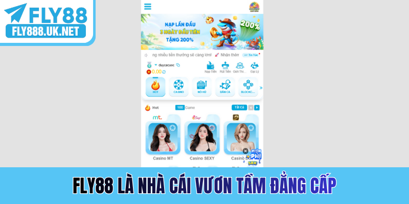 FLY88 là nhà cái vươn tầm đẳng cấp