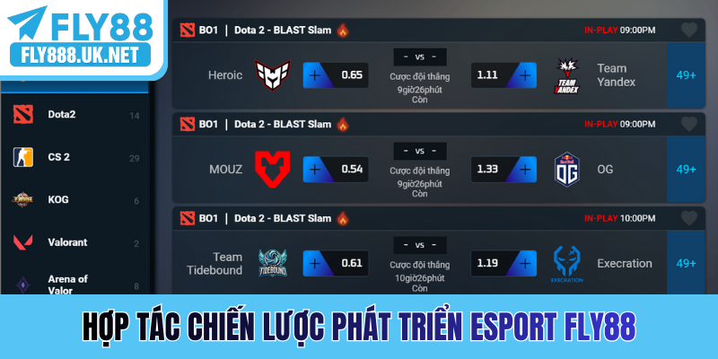 Hợp tác chiến lược phát triển Esport FLY88