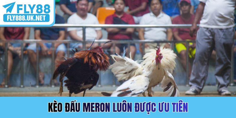 Kèo đấu Meron luôn được ưu tiên