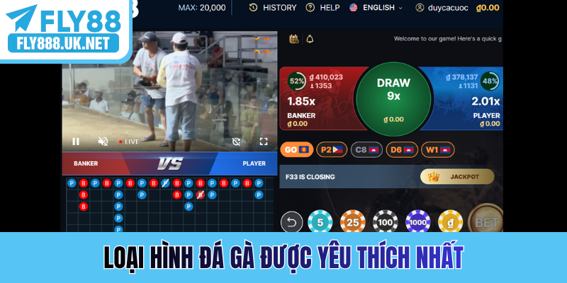 Loại hình đá gà được yêu thích nhất