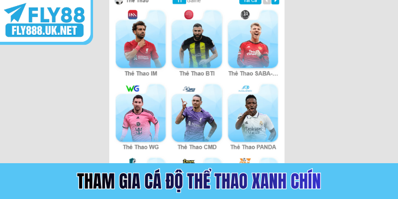 Tham gia cá độ thể thao xanh chín