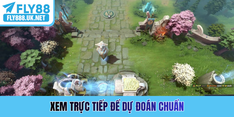 Xem trực tiếp để dự đoán chuẩn