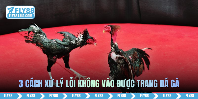 3 cách xử lý lỗi không vào được trang đá gà