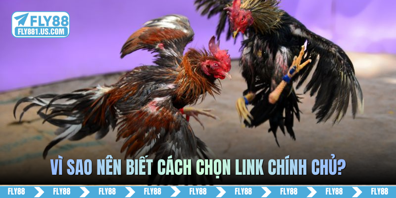 Vì sao nên biết cách chọn link chính chủ?